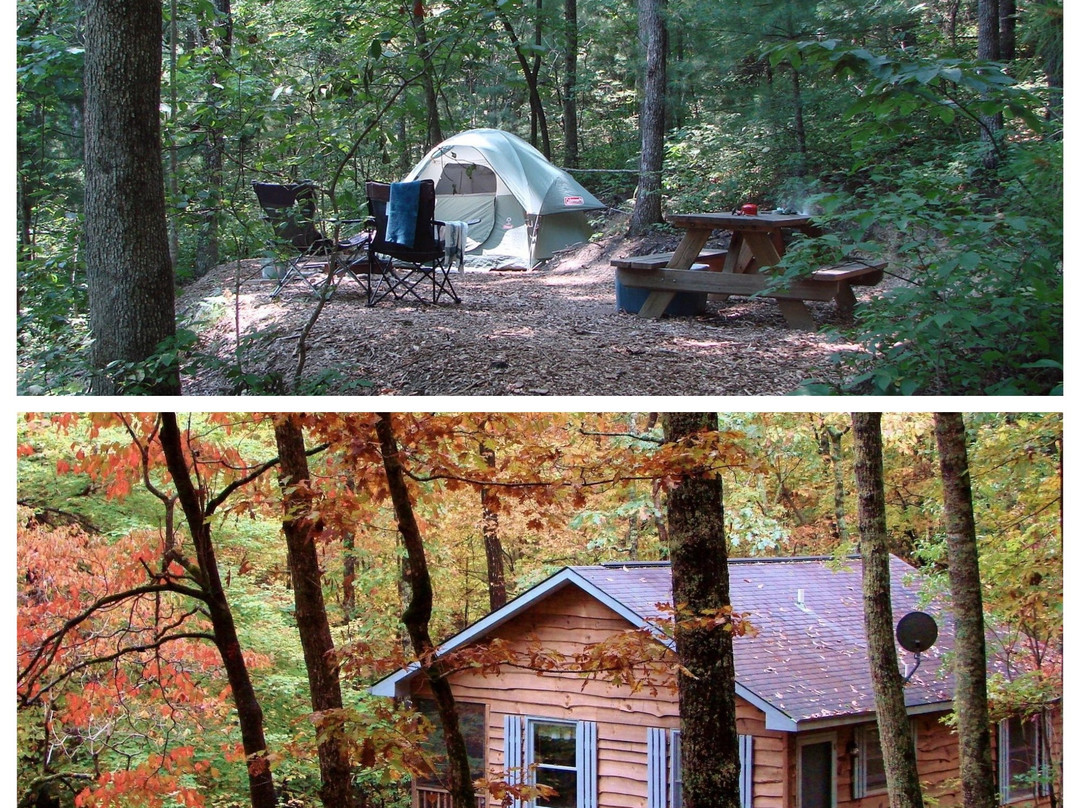 Ash Grove Mountain Cabins & Camping