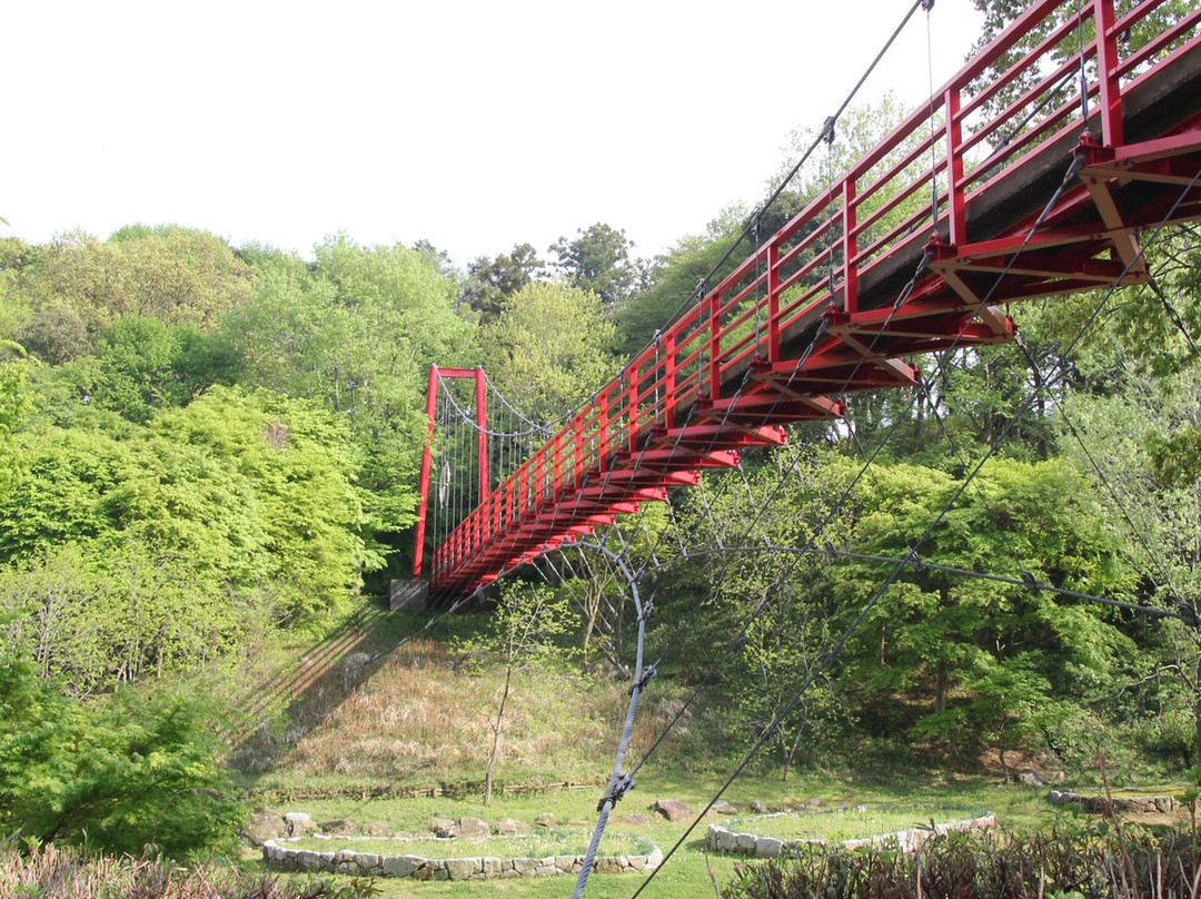 Hinuma Nature Park景点图片