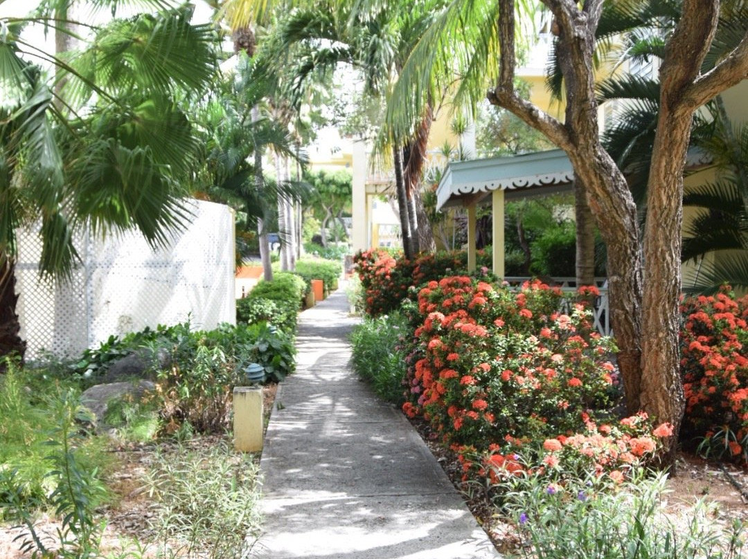 Virgin Gorda Village主图