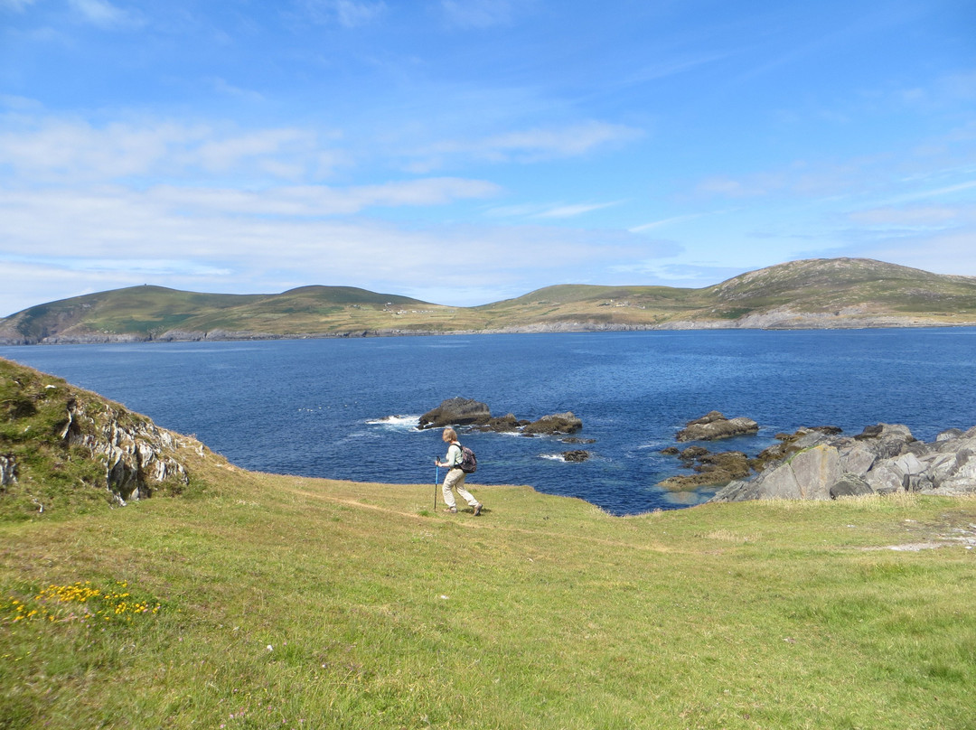 Bellatrix Bed and Breakfast for Women主图