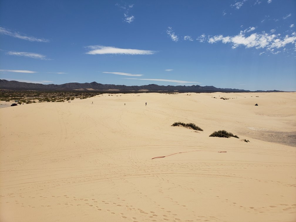 Samalayuca Dune Fields-华瑞兹城必去景点