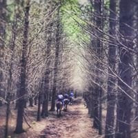 Hanmer Horse Trekking景点图片