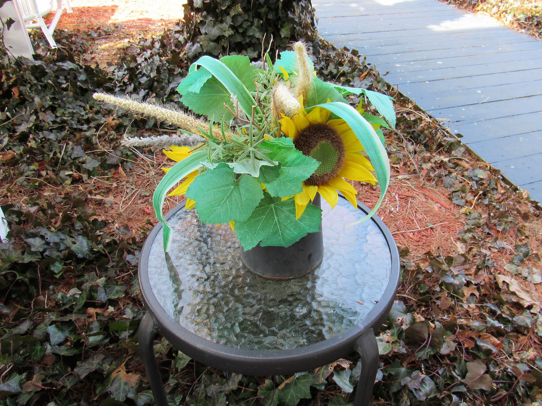 Blue Whale Inn主图