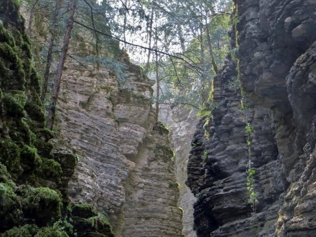 Forre del Torrente Ardo-贝卢诺必去景点