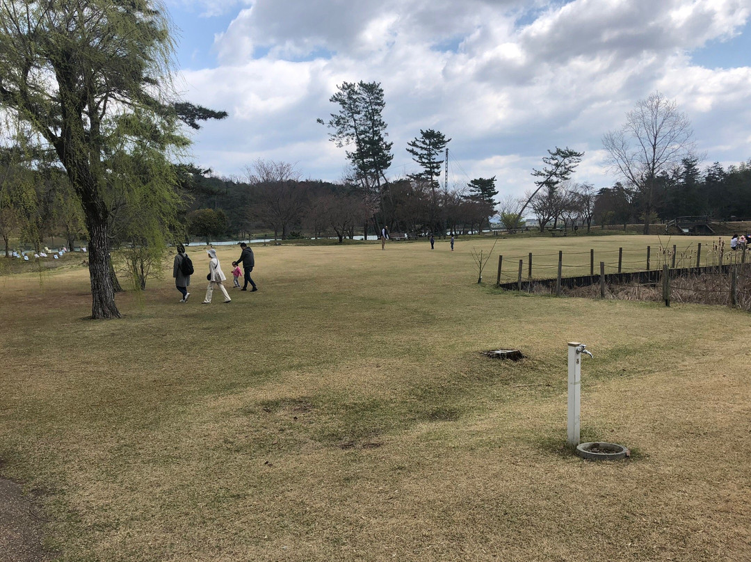 Hyogo Prefectural Flower Center-加西市必去景点
