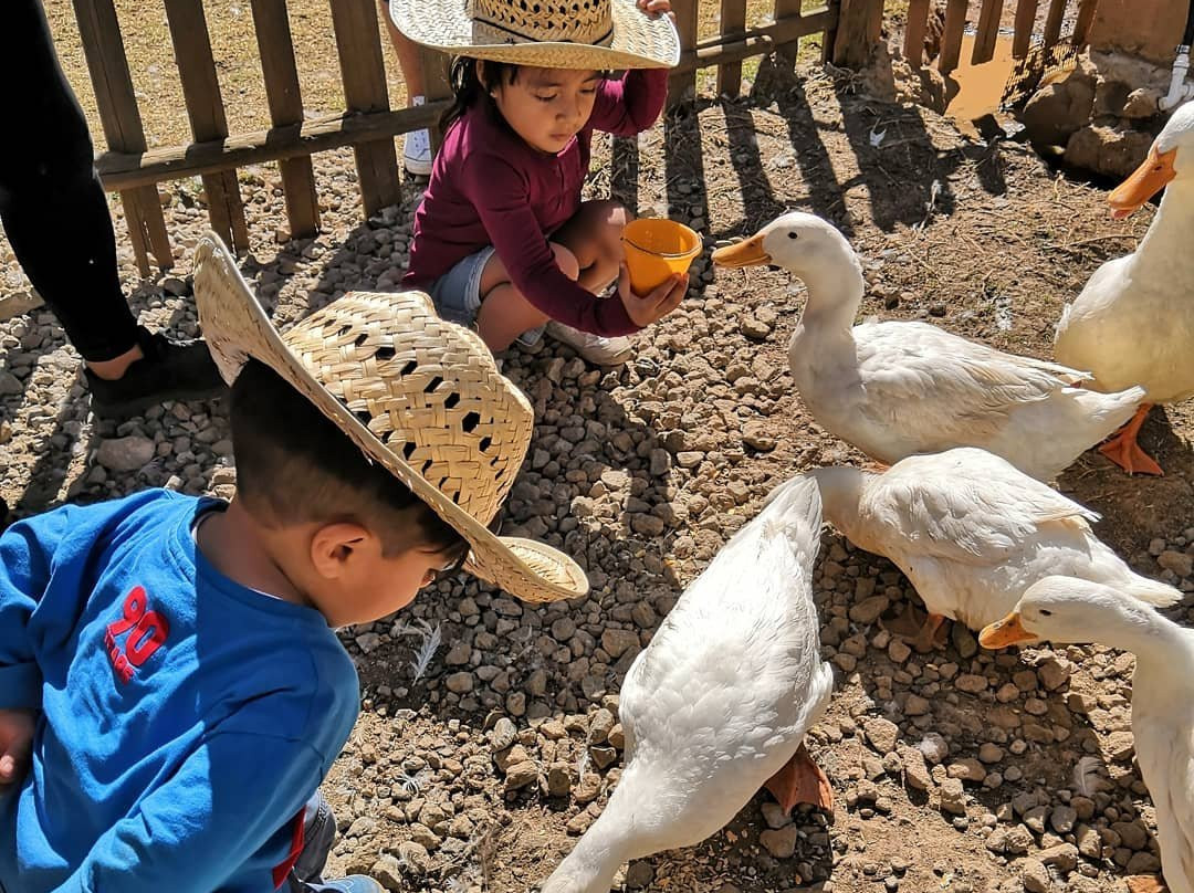 La Granja de los Ninos-Naucalpan必去景点