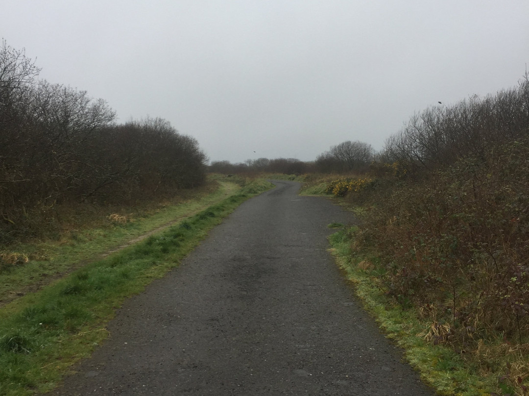 Goss Moor Trail-St Dennis必去景点