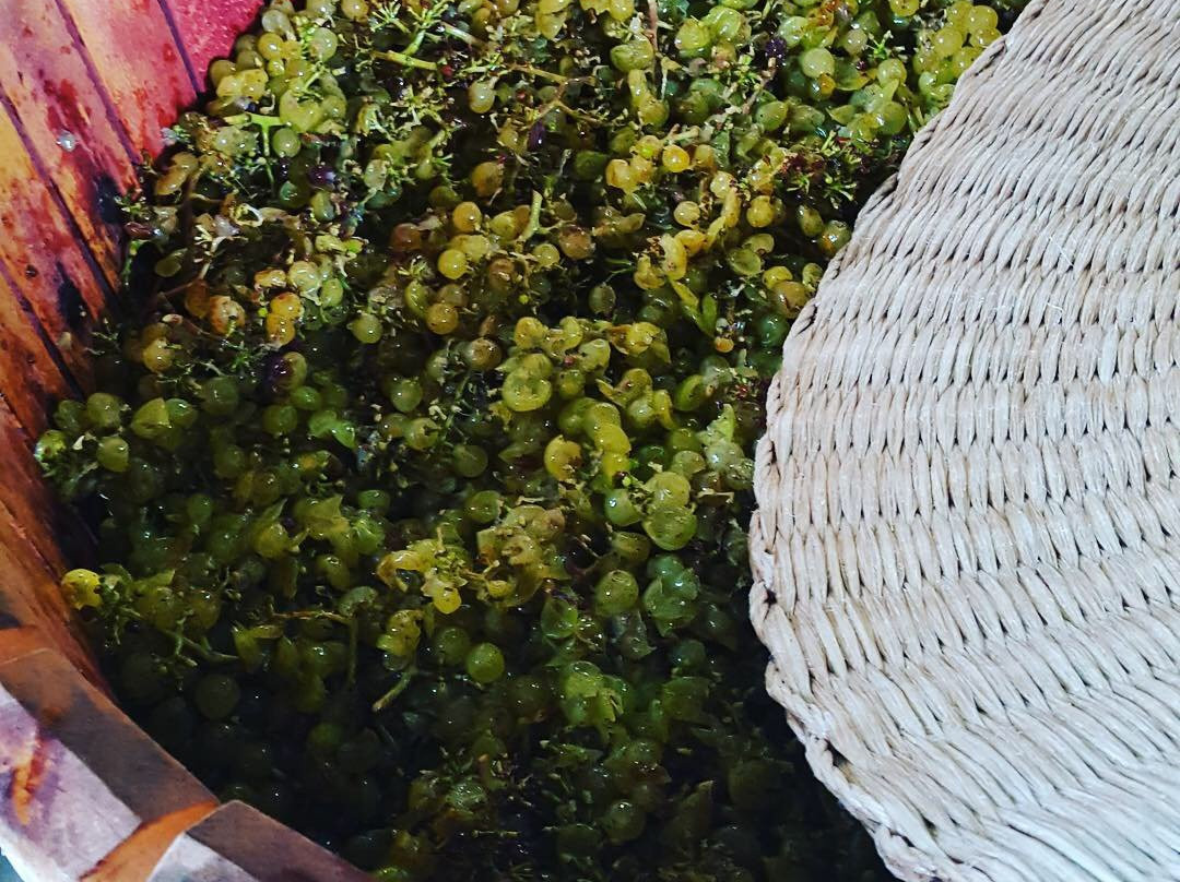 WaiTiki Tours-怀系奇岛必去景点