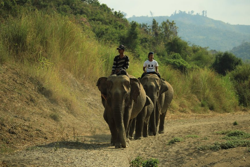 卡帕里旅游景点-Ngapali Elephants Sanctuary