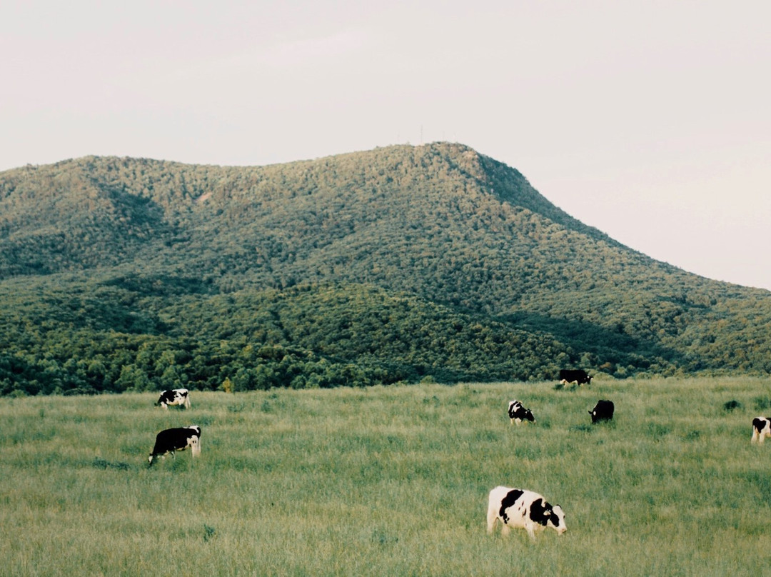 Cave Hill Farm Bed and Breakfast主图