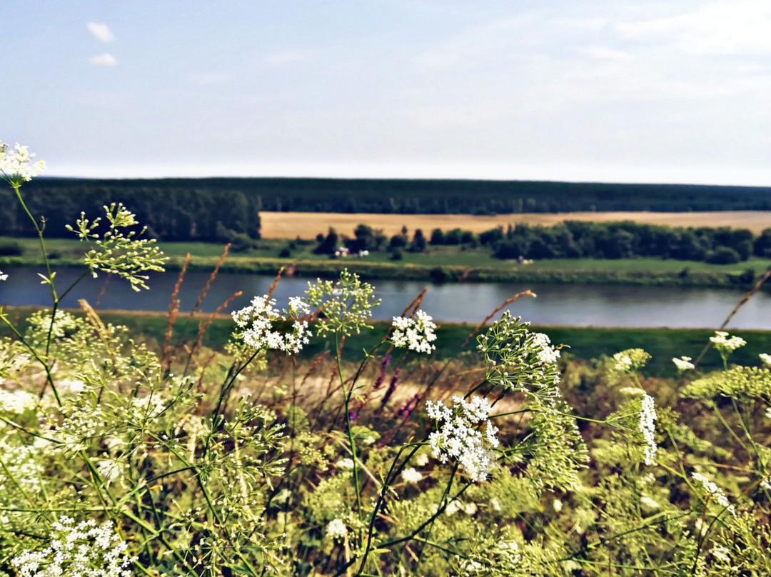 Lipetsk Oblast旅游攻略图片