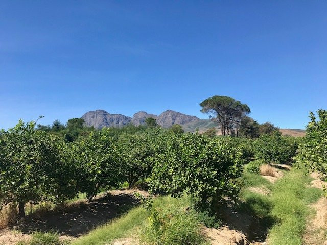 Cape Winelands Riding-Simondium必去景点