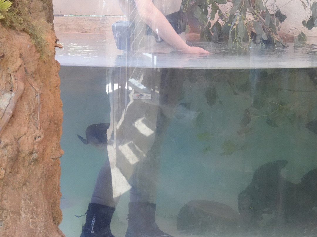 希尔斯维尔保护区-希尔斯维尔必去景点