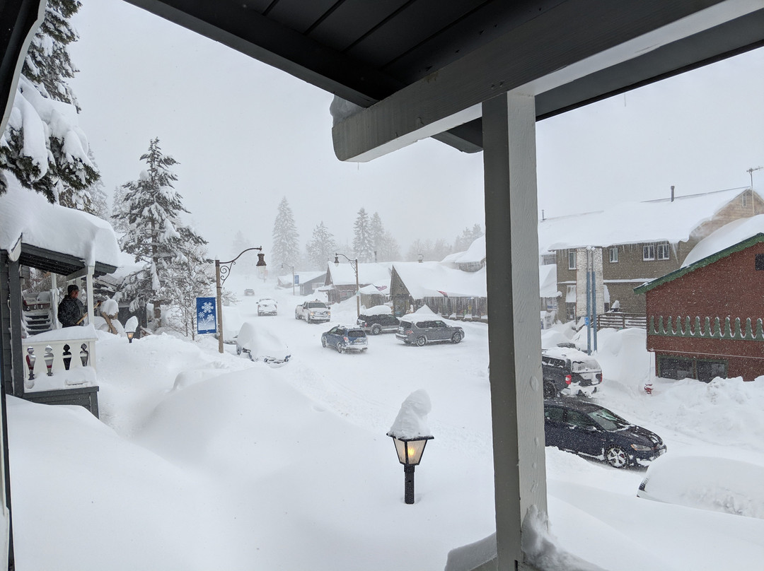 六月湖松树酒店主图