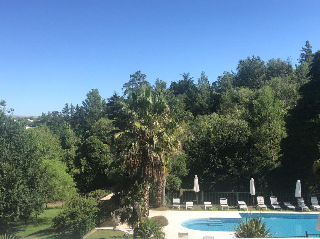 Las Ardillas Cabanas & Suites主图