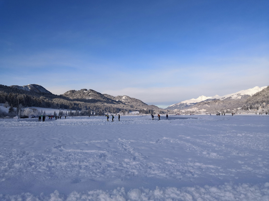 Hotel Wiesenhof - direkt am See主图