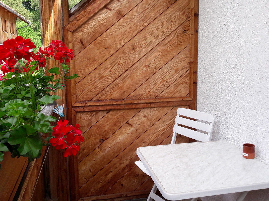 Pension Zur Muehle主图