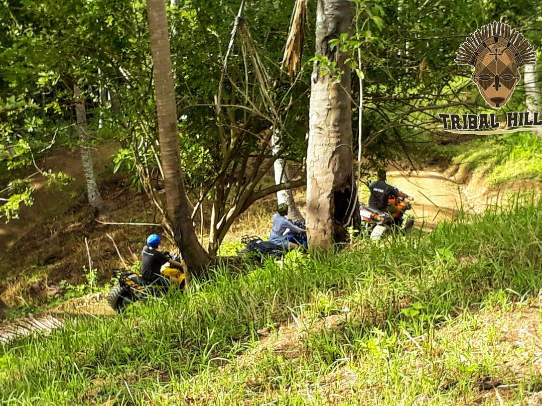 Tribal Hills Nature Park景点图片