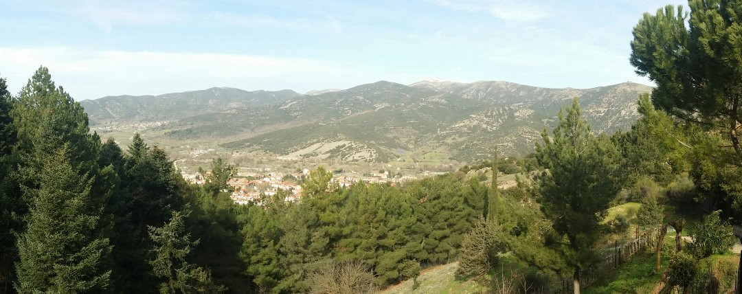 Aphrodite's Inn主图