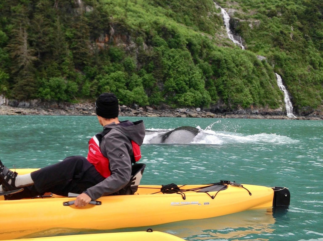 Tongass National Forest-凯奇坎必去景点