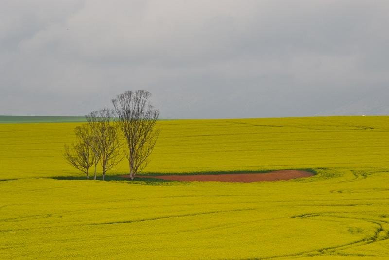 TolTours-斯特兰必去景点