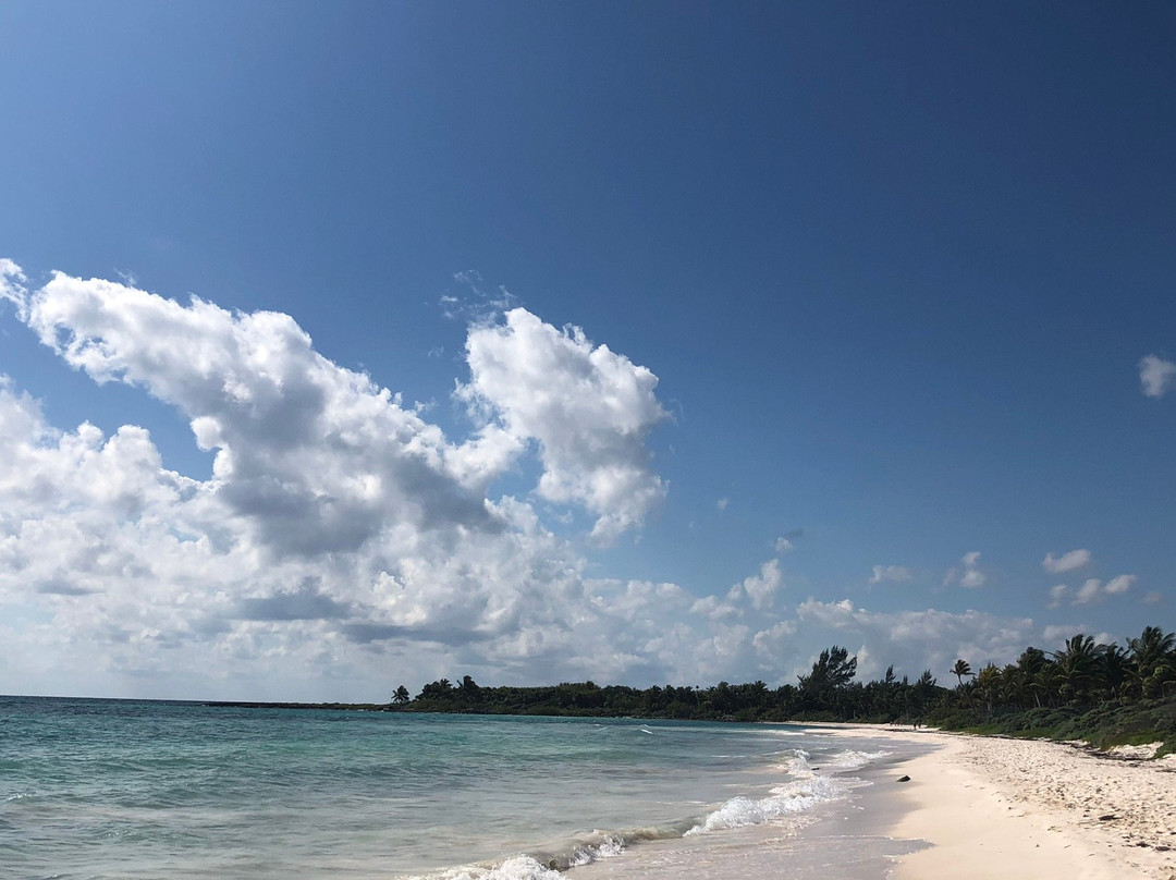 Serenity Authentic Glamping Tulum主图