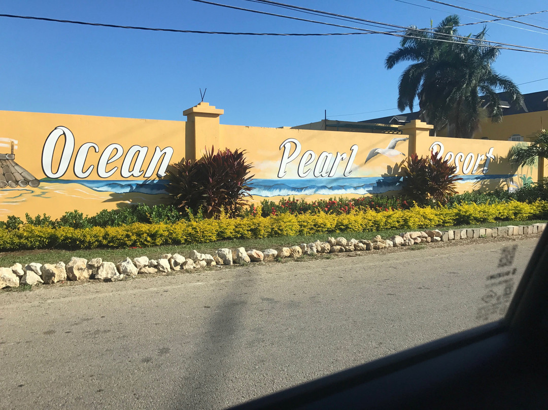 Ocean Pearl Resort主图