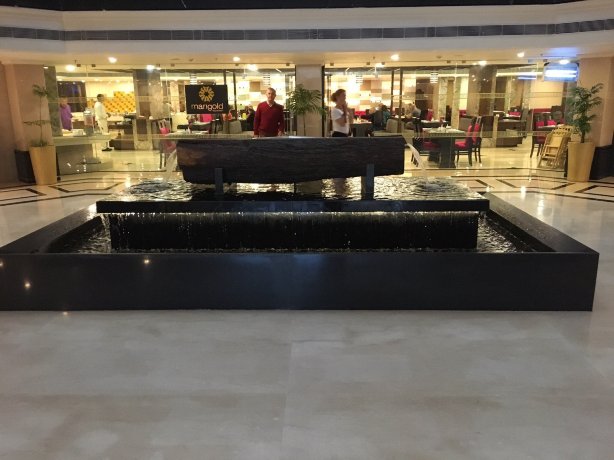 金色郁金香齐普尔市中心酒店-官方