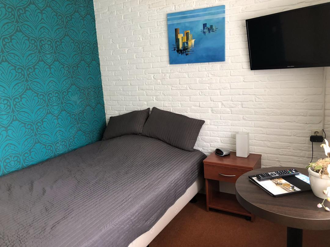 Hotel de Rozenstruik主图