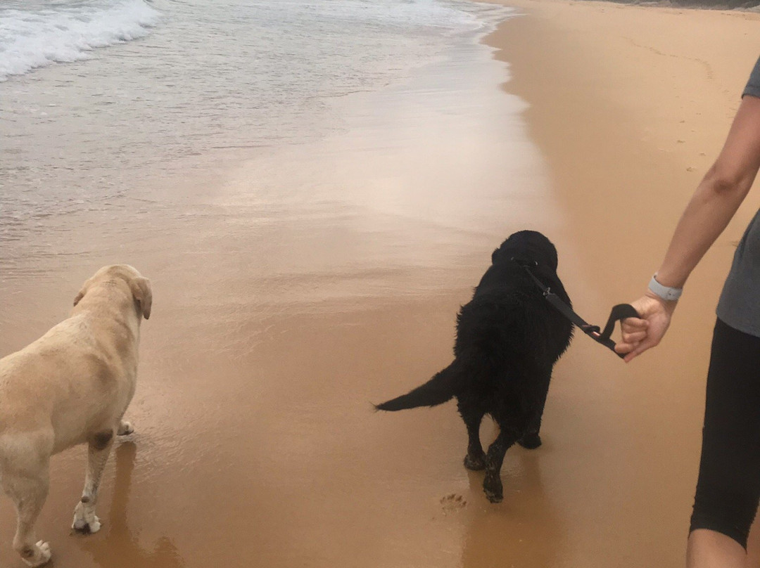 Tura Beach旅游攻略图片