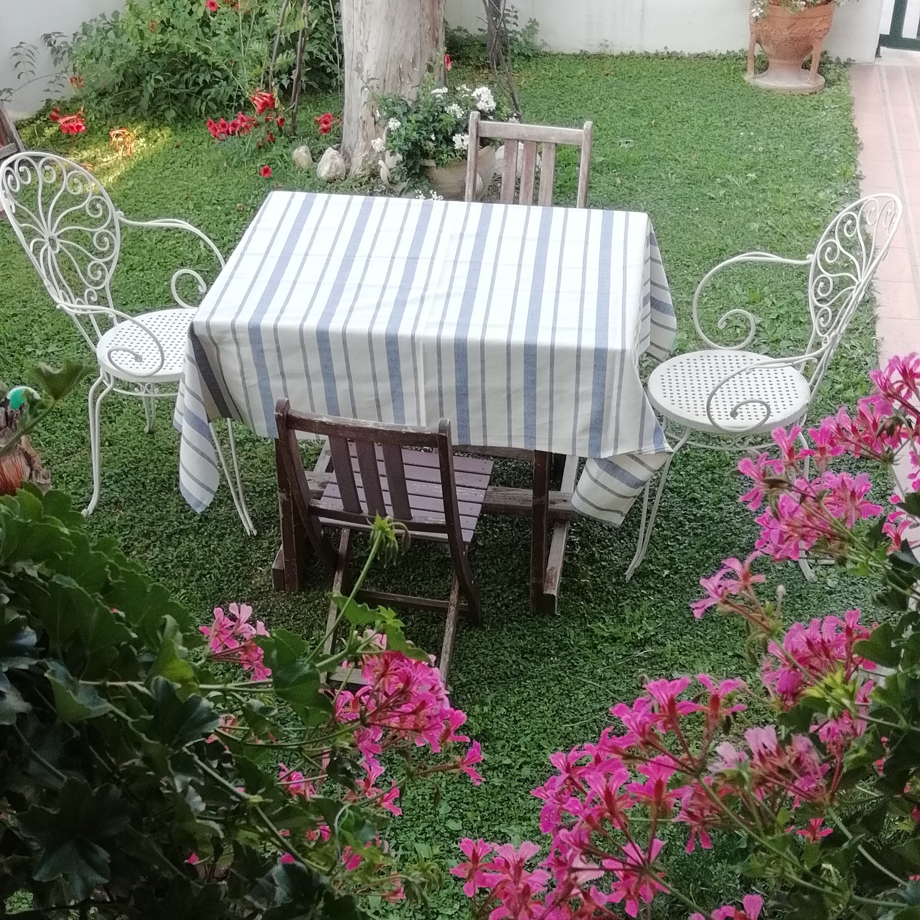 B&B L'Albero Di Antonia-官方