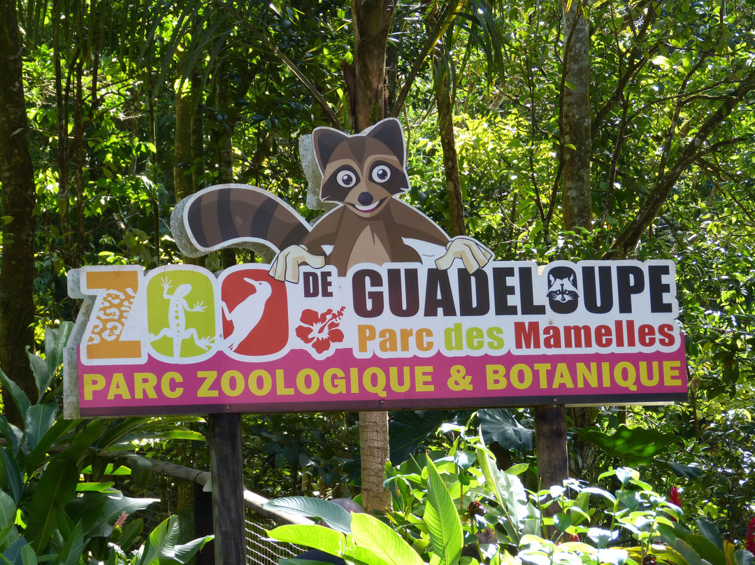 Zoo De Guadeloupe Au Parc Des Mamelles景点图片