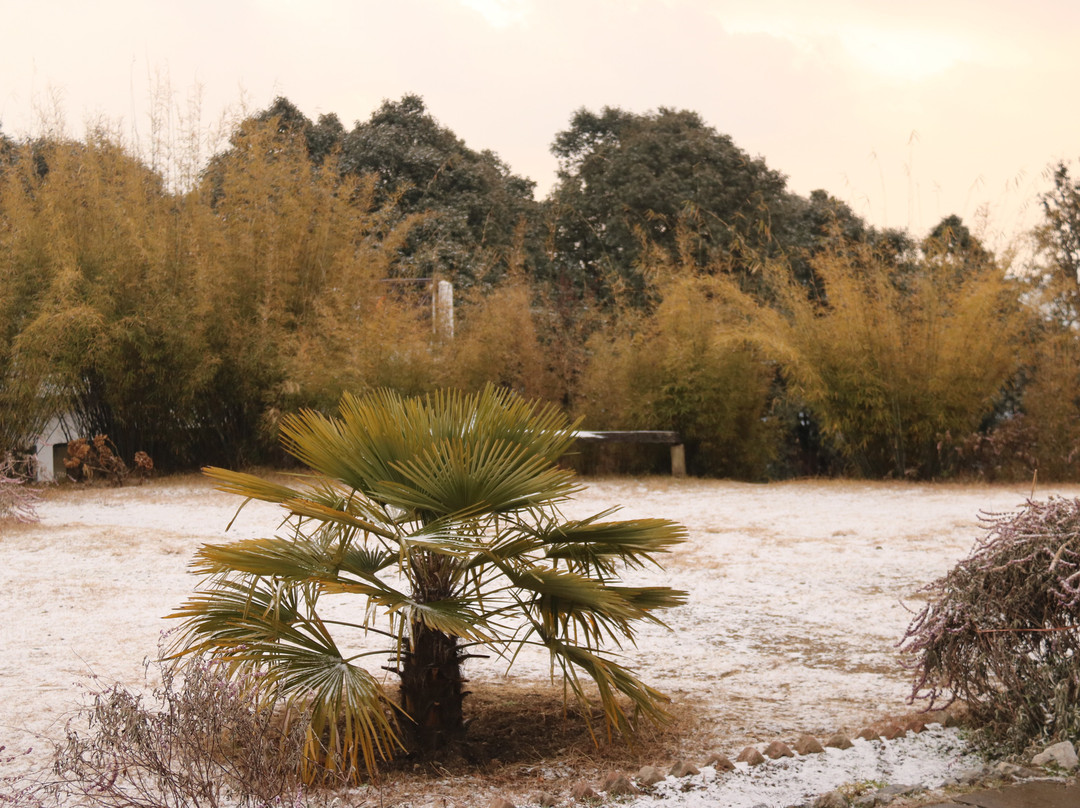 KMVN Tourist Rest House Binsar主图