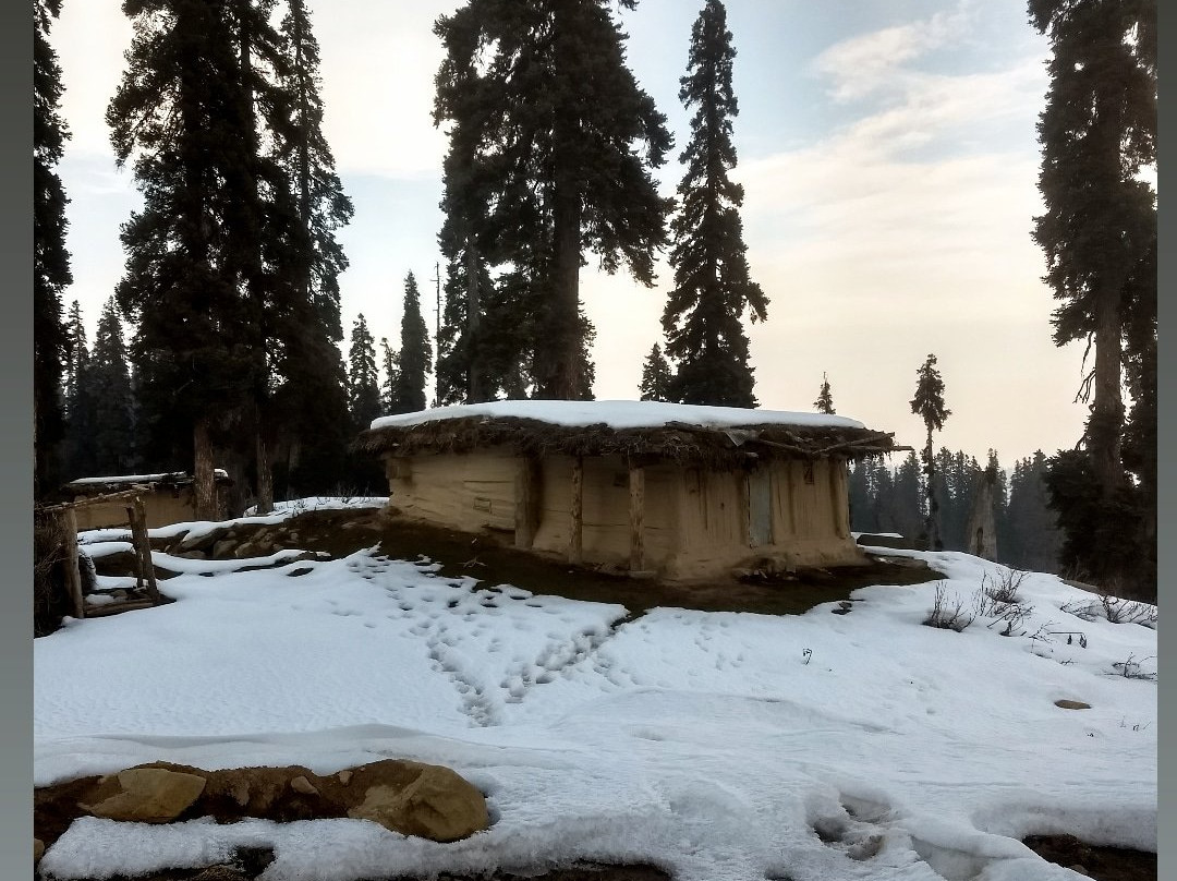 Hotel Gulmarg House主图