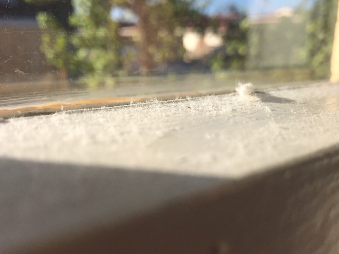 Comfort Inn All Seasons主图