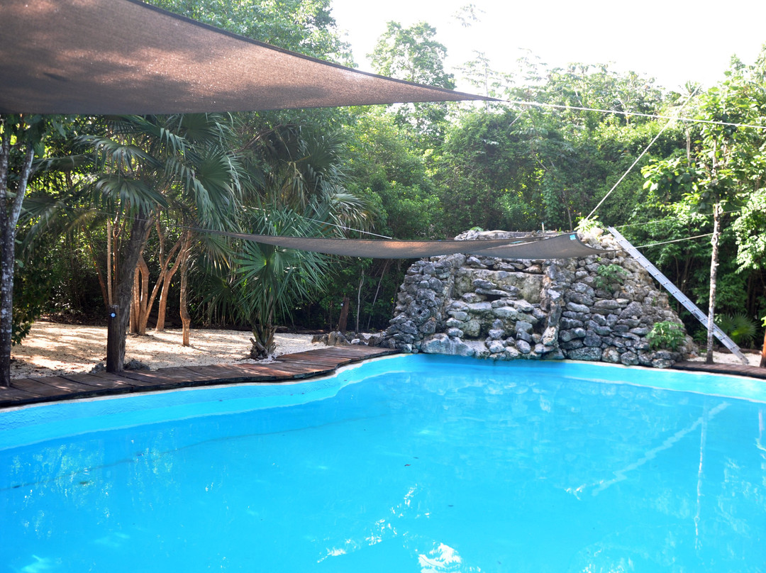 Jolie Jungle Eco Hotel