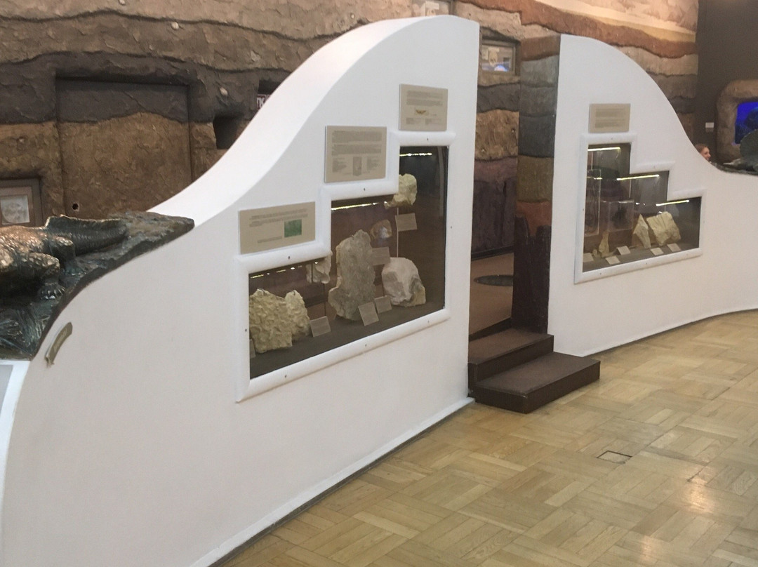 Natural History of Tatarstan Museum景点图片