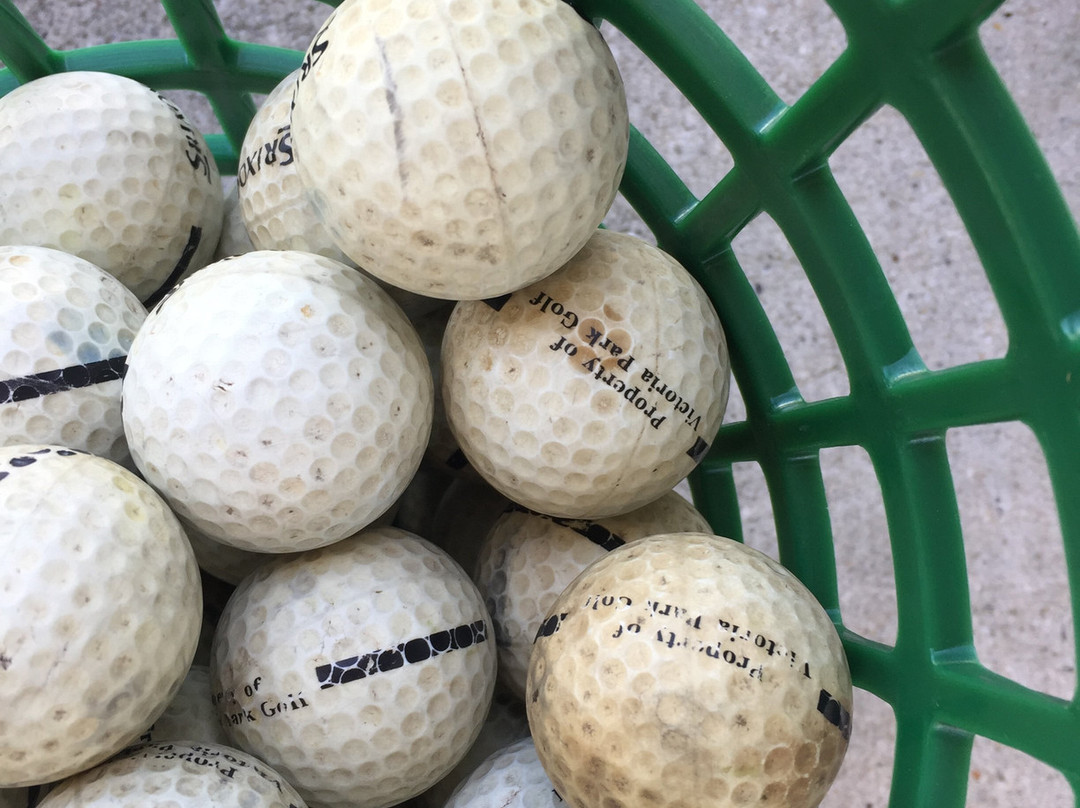 Victoria Park Golf-布里斯班必去景点