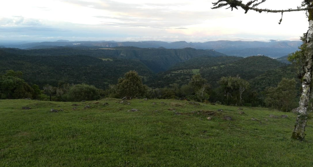 Pousada Edelweiss主图