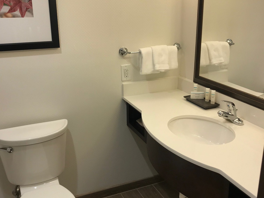 Hilton Garden Inn Indiana at IUP主图