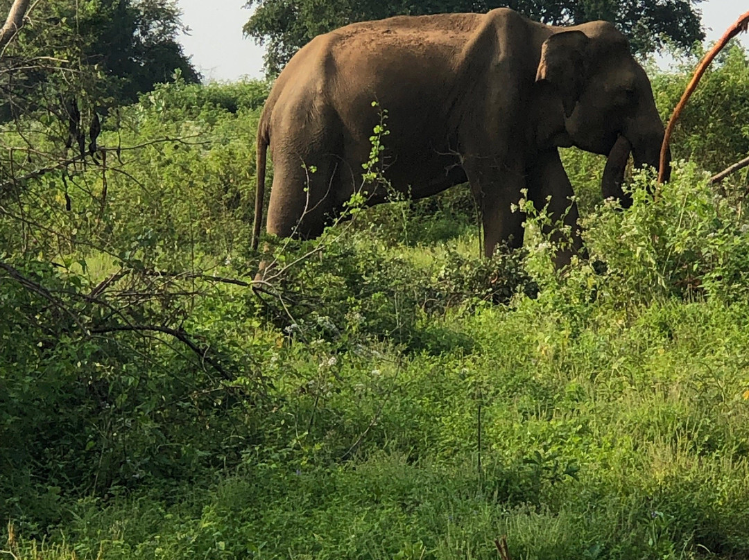 Cango Tour-亚洪加拉必去景点