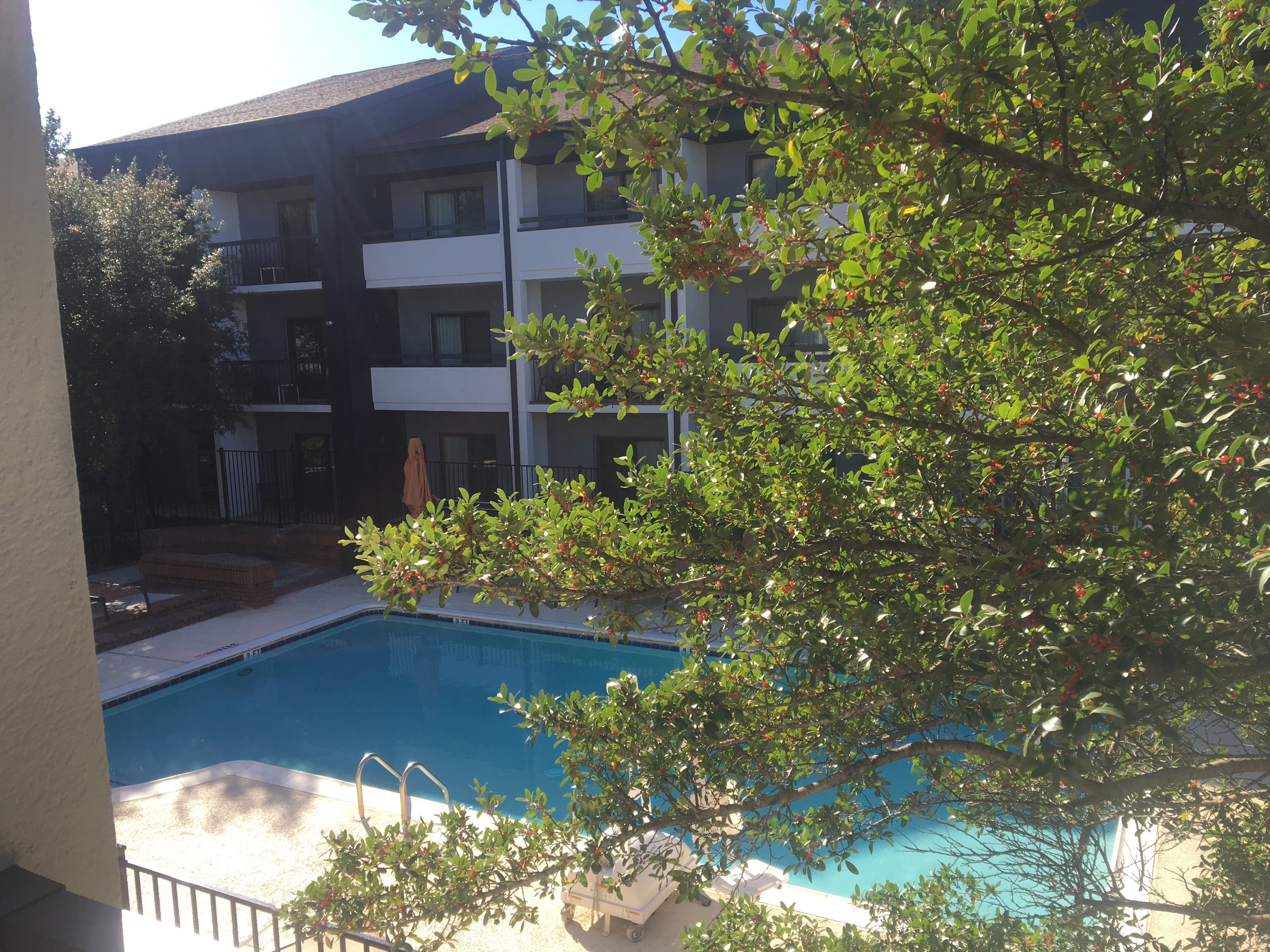 Courtyard by Marriott Dallas Richardson at Spring Valley-酒店景观