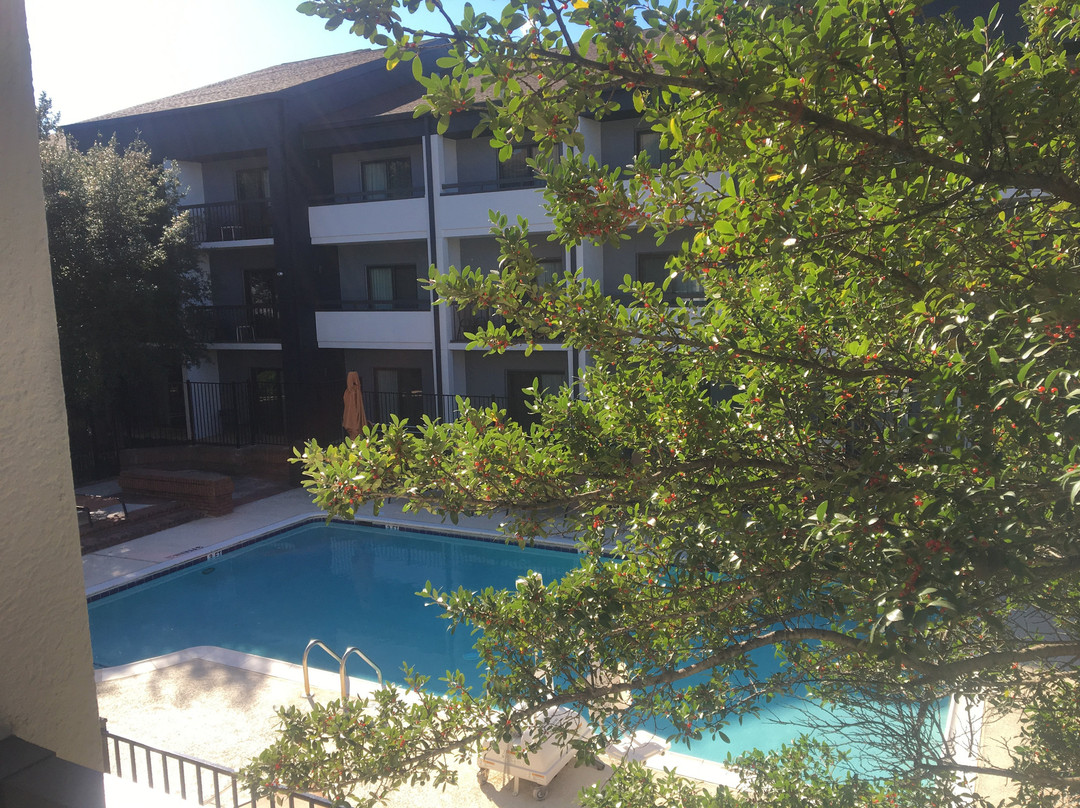 理查森酒店住宿-Courtyard by Marriott Dallas Richardson at Spring Valley