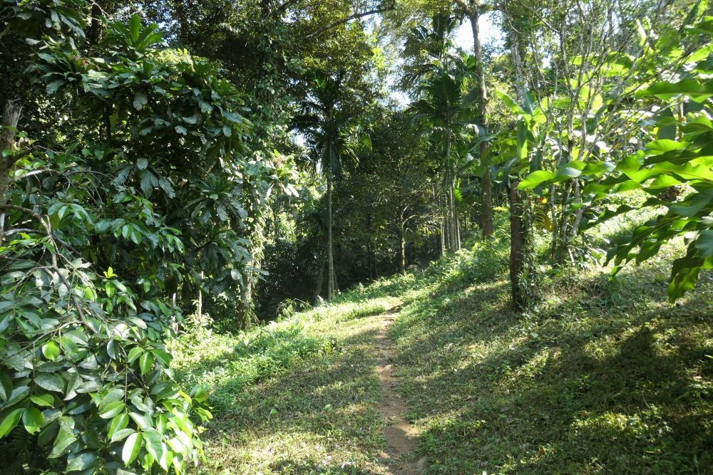 Kai Bae Waterfall-Ban Kai Bae必去景点