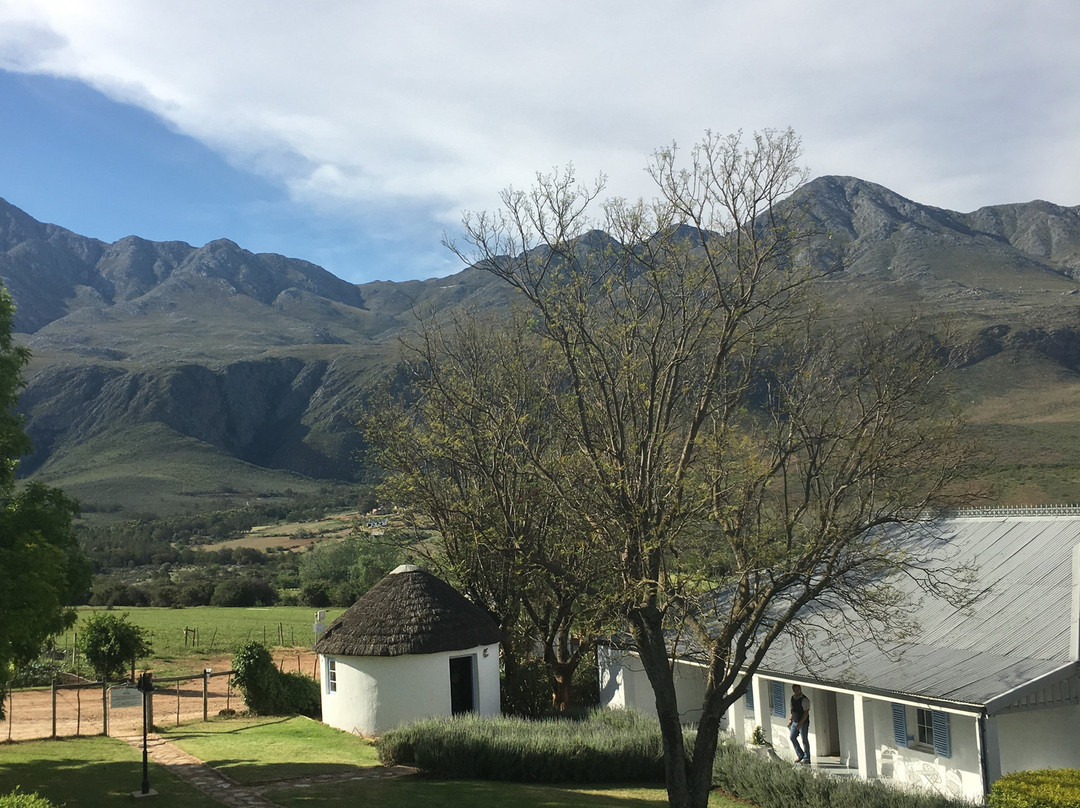Swartberg Country Manor主图