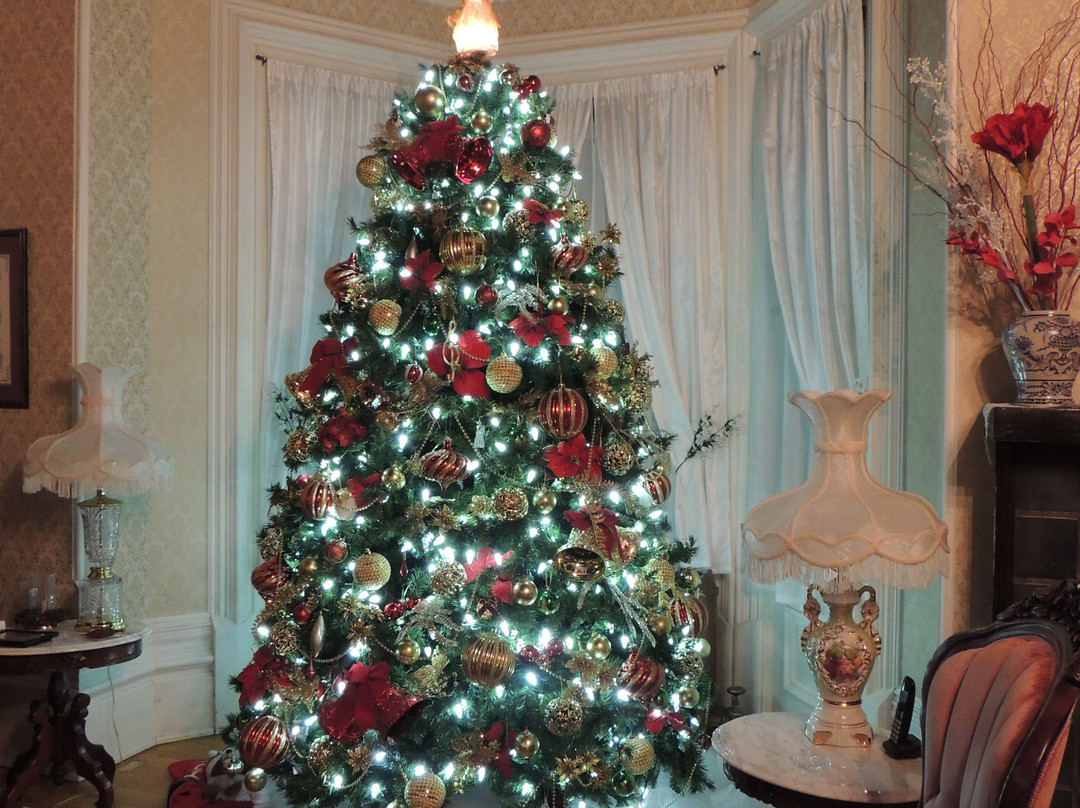 Hardwood Haven主图