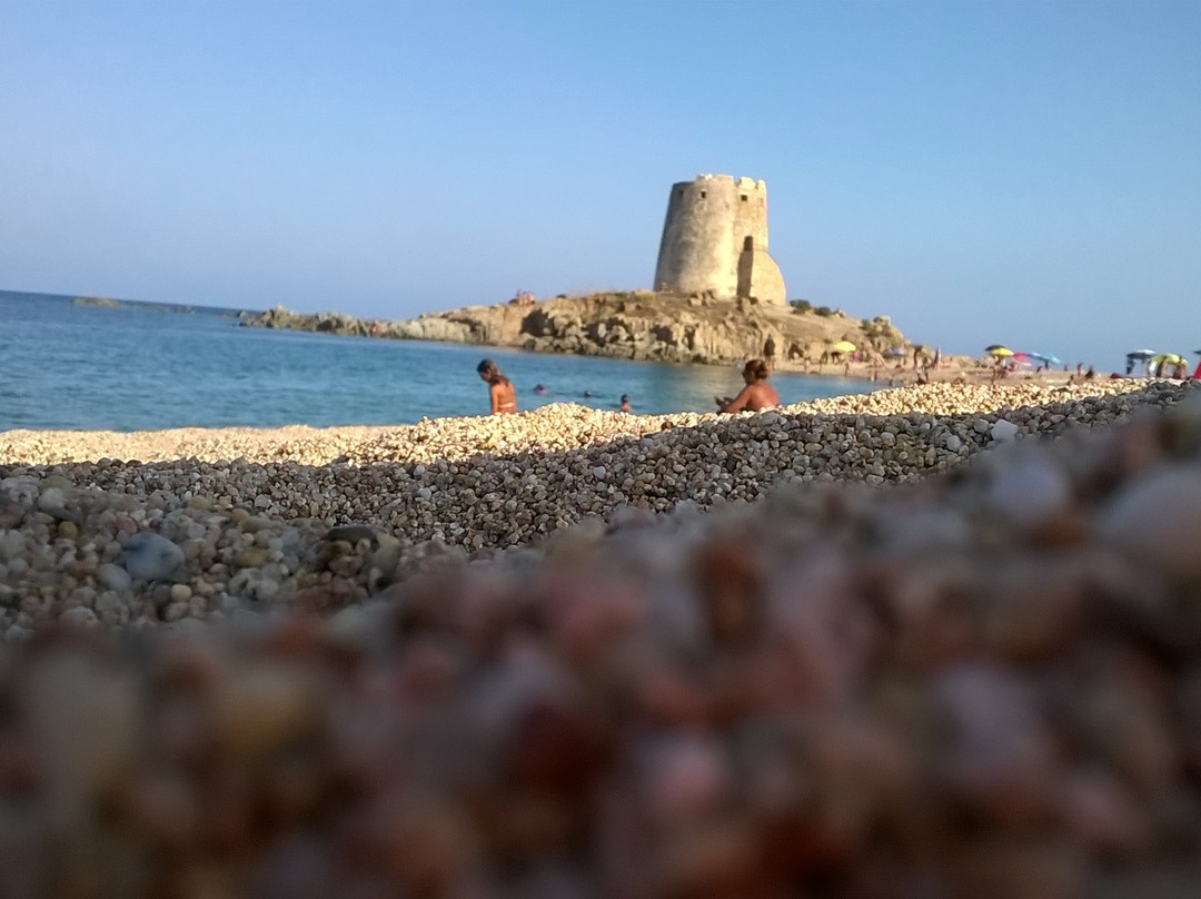 Torre di Bari景点图片
