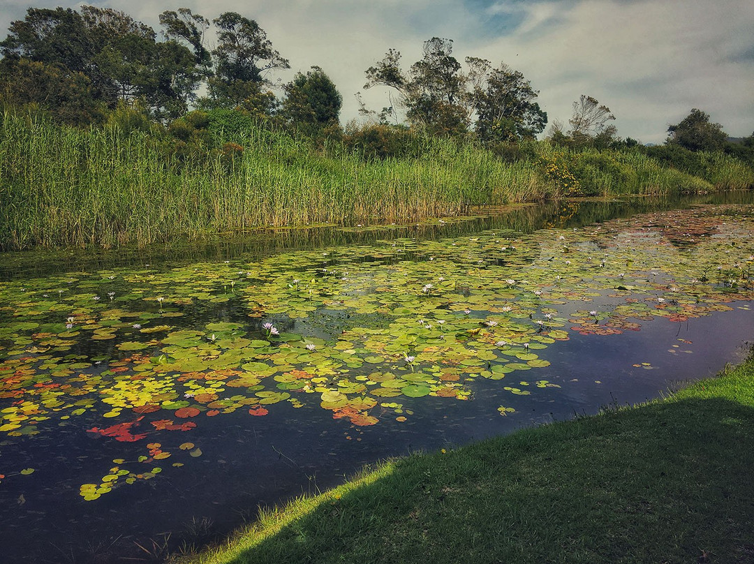 Bitou River Lodge主图