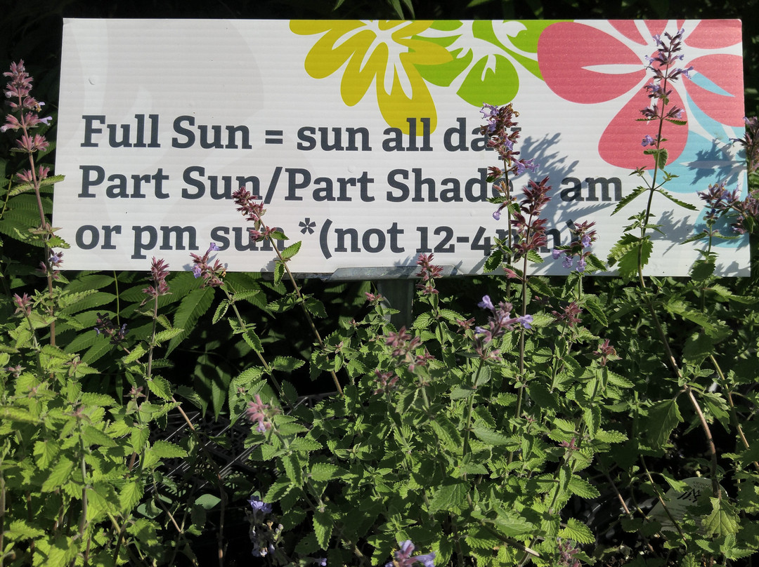 Gardens Plus-彼得伯勒必去景点