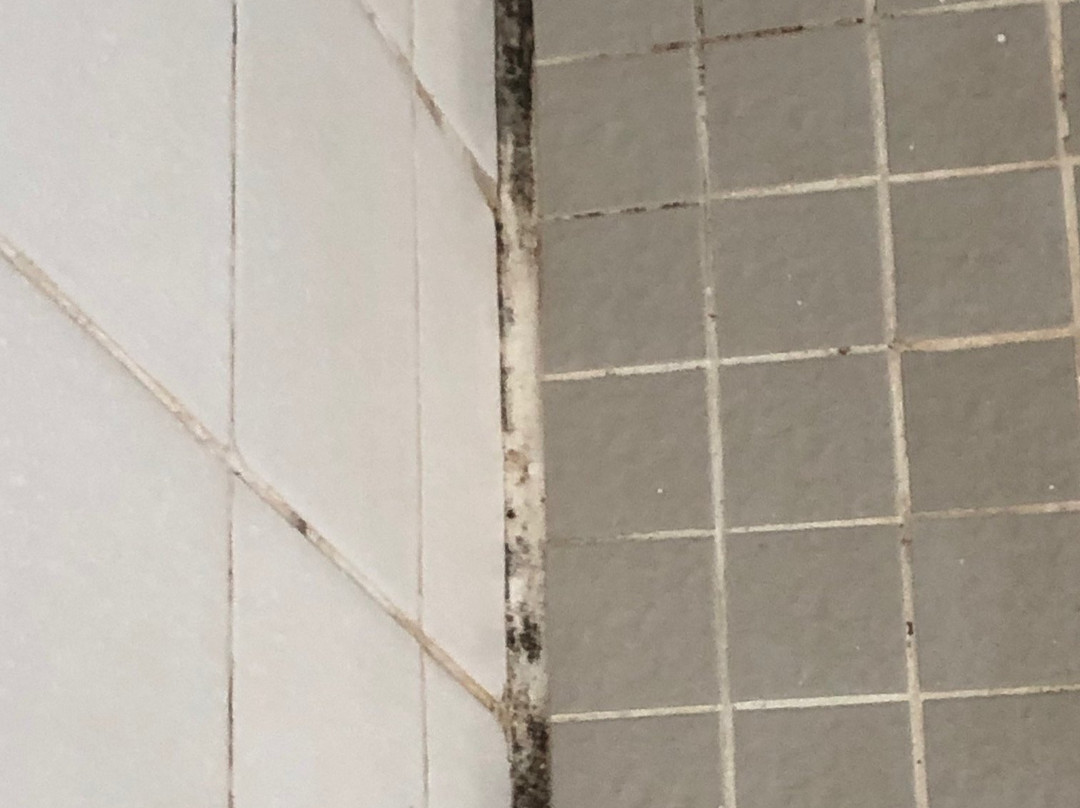 蔻驰之家酒店主图